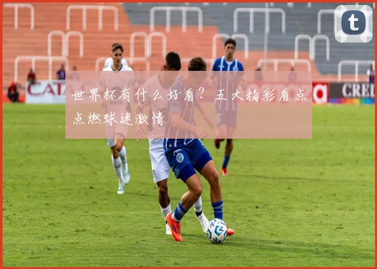 世界杯有什么好看？五大精彩看点点燃球迷激情