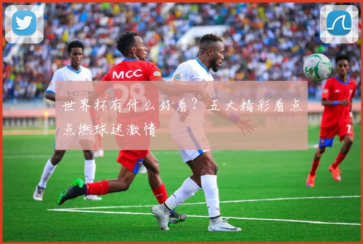 世界杯有什么好看？五大精彩看点点燃球迷激情